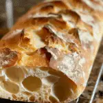Oven Italian Ciabatta Bread